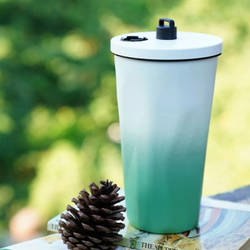 Stainless Steel Tumbler With Straw - White Green - Single Piece