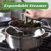 Steamer - Expandable