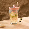 Gift Adorable Portable Glass Tumbler With Straw - Assorted - Single Piece