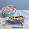 Bento 4 Grid Lunch Box - Assorted - Single Piece Online