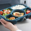 Gift Bento Lunch Box - 5 Slots - Single Piece