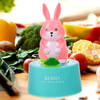 Bunny Mechanical Timer - Assorted - Single Piece Online