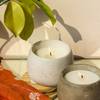 Gift Candle - Corvus Mogra