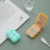 Gift Cloud Medicine Organizer - Assorted - Single Piece