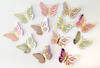 Buy Cutouts - Butterfly - Multicolor - Set Of 12