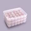 Buy Egg Holder Box - 24 Grids - Assorted - Single Piece