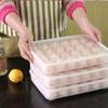 Egg Holder Box - 24 Grids - Assorted - Single Piece Online