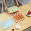 Gift Egg Storage Box - Ventilation - Assorted - Single Piece