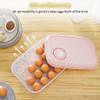 Shop Egg Storage Box - Ventilation - Assorted - Single Piece
