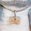 Gift Engraved Bone Shaped Pet Tag