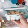 Fridge Organizer Adjustable Tray Single Piece Online