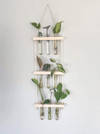 Buy Hanging Planter - Glass Tubes - Wooden - Single Piece
