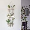 Hanging Planter - Glass Tubes - Wooden - Single Piece Online