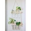 Hanging Planter - Glass Tubes - Wooden - Single Piece Online