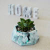 Buy Hexagonal Concrete Planter