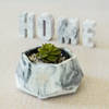 Hexagonal Concrete Planter Online