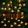 Buy Honey Bee LED String Lights