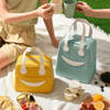 Insulated Lunch Bag - Assorted - Single Piece Online