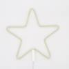 Gift Neon Light - Star - Single Piece
