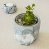 Buy Owl - Concrete Planter And Pen Holder