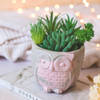 Owl - Concrete Planter And Pen Holder Online