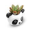Buy Panda Face Planter - Assorted - Single Piece