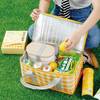 Gift Picnic Bag - Assorted - Single Piece
