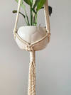 Gift Plant Hanger - The Square Affair