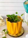 Buy Planter - Abstract Design - Single Piece