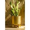 Planter - Gold With Gold Stand - Single Piece Online
