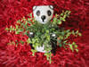 Buy Planter - Panda - Single Piece