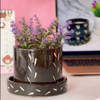 Planter Pot And Plate - Multicolor Online