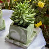 Planter - Sage Green - Square - Cement - Single Piece Online