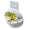 Planter - Wall Mounted - Single Piece Online