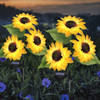 Solar Powered Light - Sunflower - Assorted - Single Piece Online