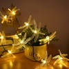 String Lights - Dragon Fly - 3 Meter Online