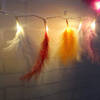 String Lights - Feather - Multicolour - 1.5m Online