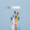 Gift Tooth Brush - Soft Bristles - Cap - Set Of 10