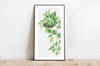 Gift Wall Art - Golden Pothos