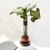 Wooden Planter - Spherical Online