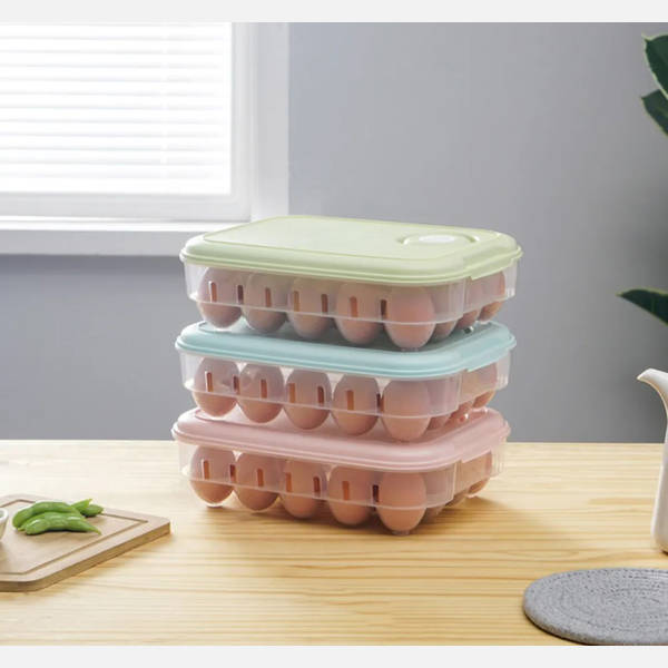 Egg Storage Box - Ventilation - Assorted - Single Piece