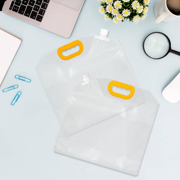 Foldable Storage Bag - Assorted - Set Of 4