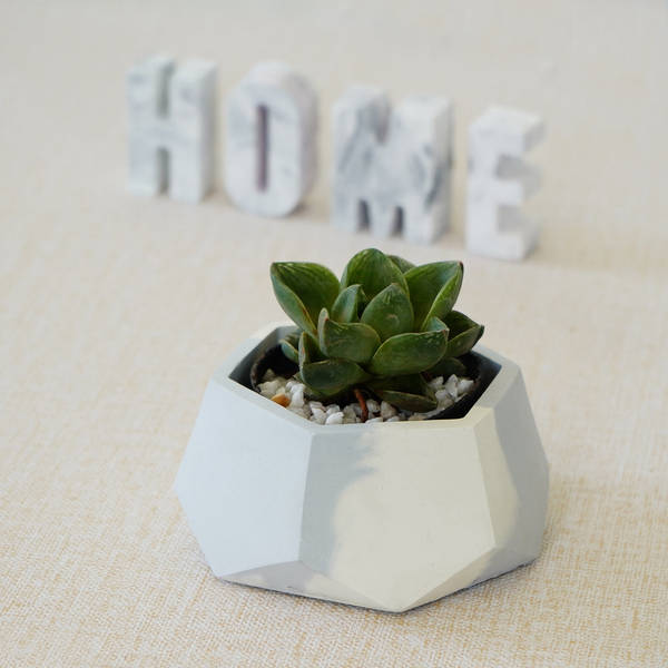 Hexagonal Concrete Planter
