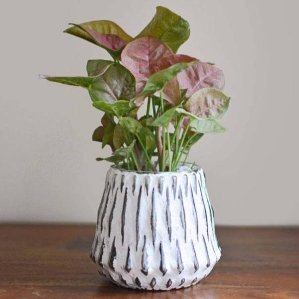 Honeycomb Glass Planter