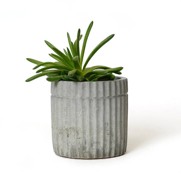 Patterned Stationery Holder And Planter