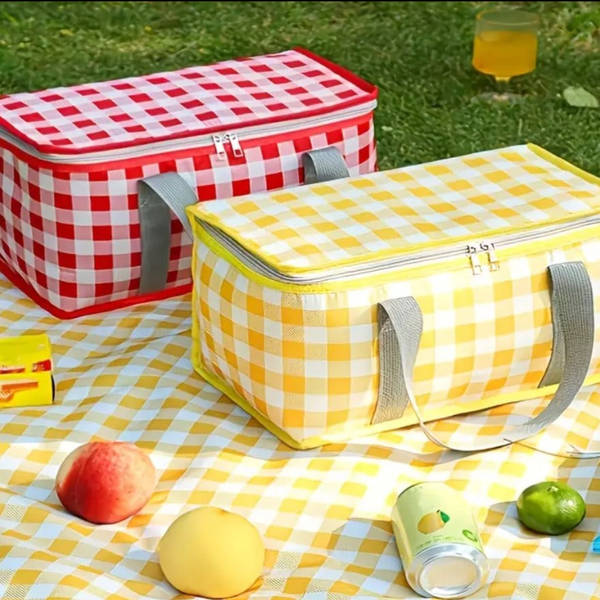 Picnic Bag - Assorted - Single Piece