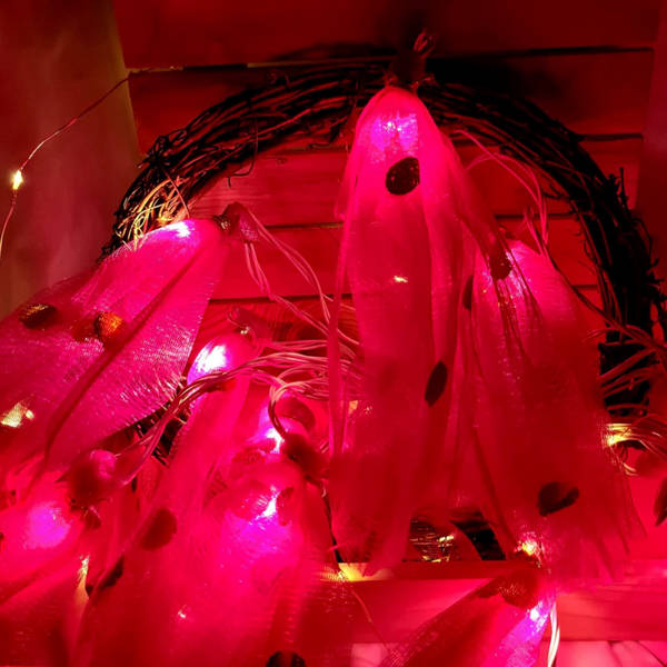 String LED - Red Potli - 20 Lights